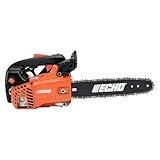 Echo 12-inch Gas Chainsaw