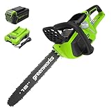 Greenworks 20312 Chainsaw