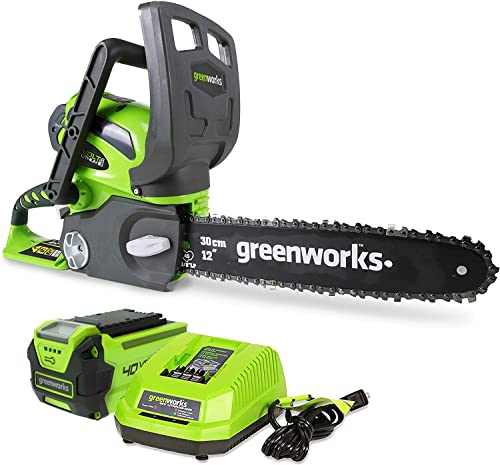 Greenworks 20262 Chainsaw
